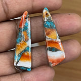 Oyster Turquoise Fancy Pair