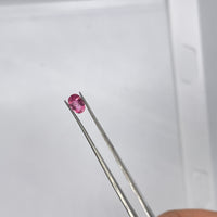 Pink Tourmaline