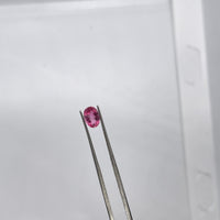 Pink Tourmaline