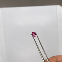 Pink Tourmaline