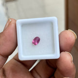 Pink Tourmaline