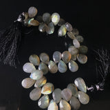 Labrodorite Pear shape beads ONE STRAND